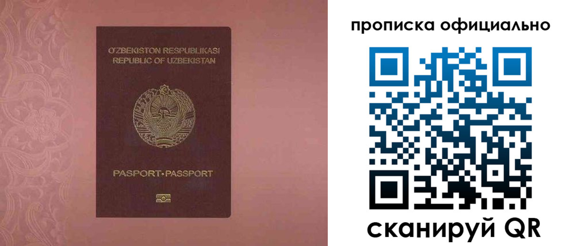 прописка гарантия в Черноголовке